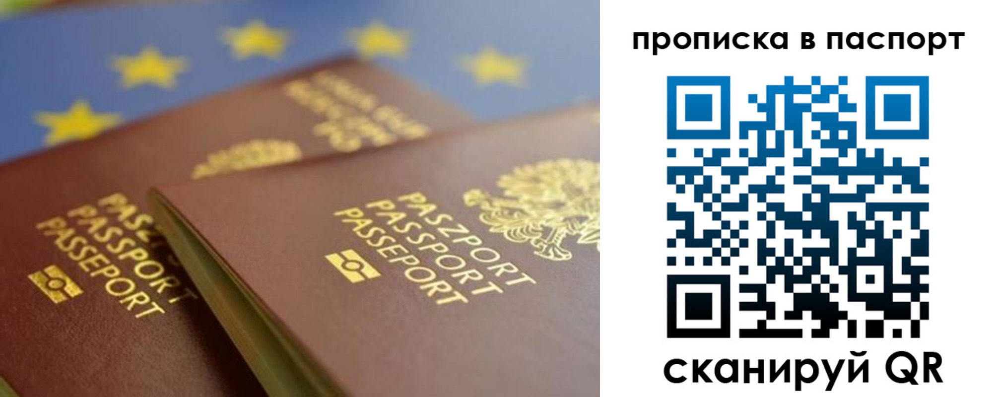 временная регистрация собственник в Бабаево